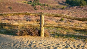 Een houten omheining in een natuurlijke omgeving.