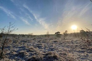 A frosty landscape with trees and a clear sky.