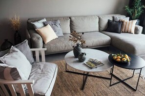 TV, fireplace, stereo