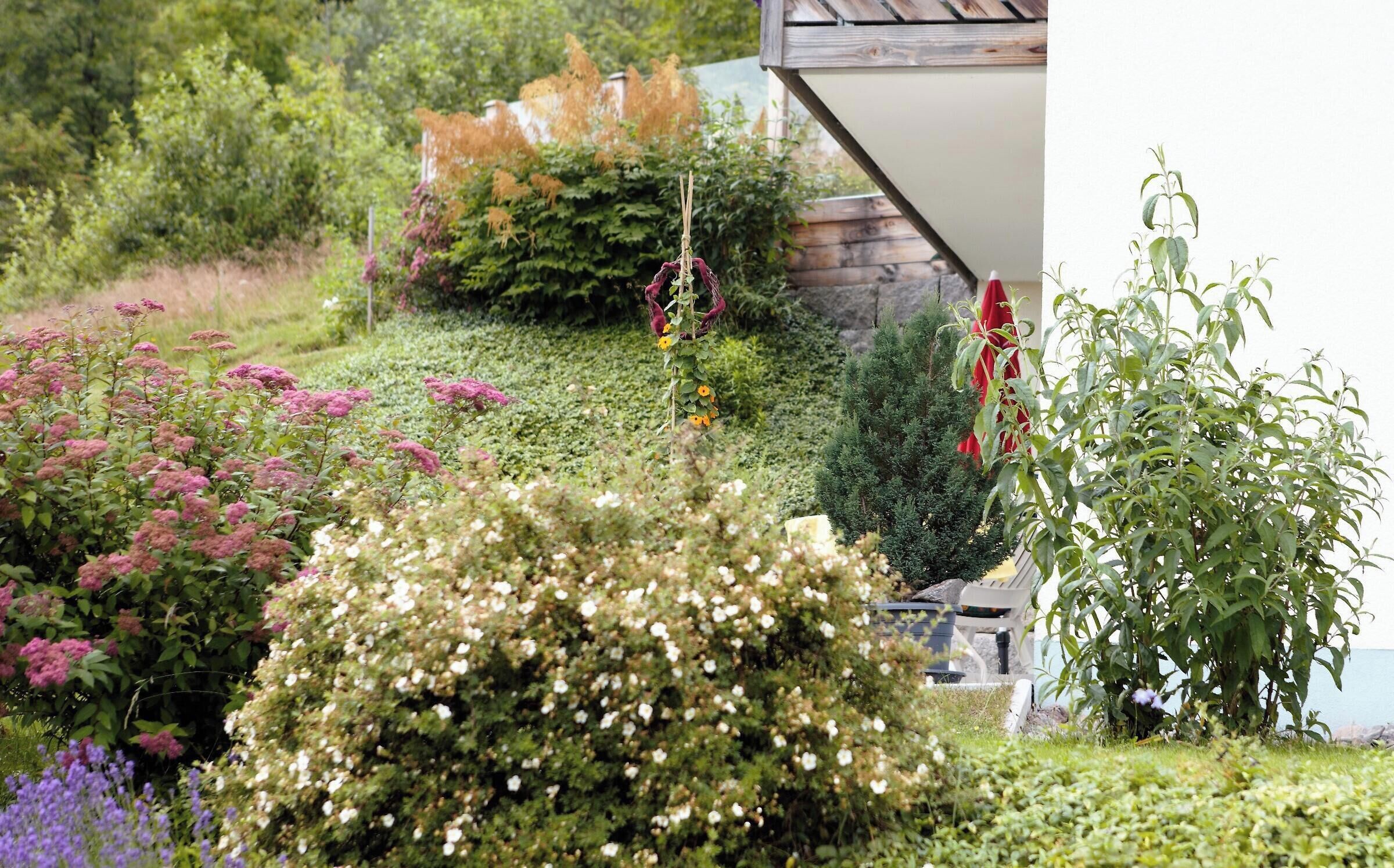 A lush garden with various plants and flowers, a wooden structure, and a stone wall.