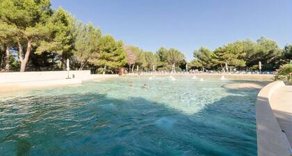 Selection Apartment 1 Bedroom