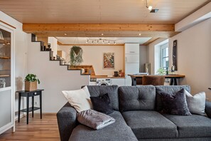 TV, stereo - Apartment 'Rudemsmännchen' with Terrace and Garden (Eisenbach (Hochschwarzwald))