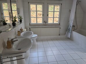 Shower, hair dryer, towels