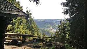 A rustic cabin with a picnic table, surrounded by dense forest and a view of a valley.