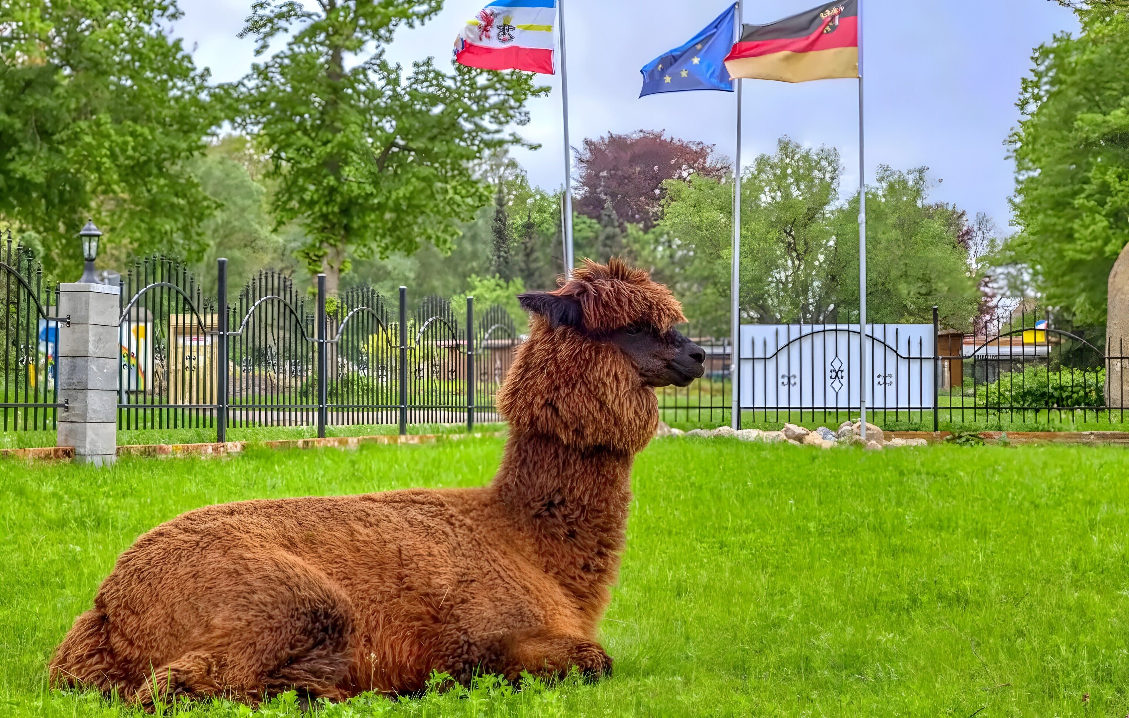 Haustierfreundlich
