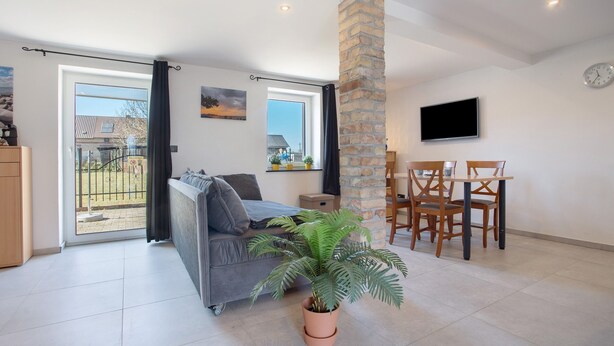 TV, table tennis - Apartment '3' with Private Terrace, Private Garden and Wi-Fi (Schmatzin)