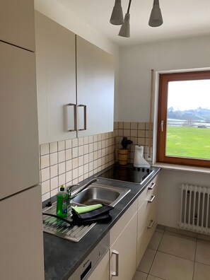 Kühlschrank, Mikrowelle, Herdplatte, Geschirrspüler