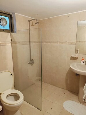 Un bagno con doccia vetro, un water e un lavandino con specchio sopra.