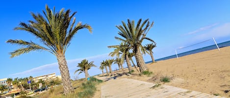 شاطئ
