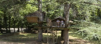 Squirrel Cabin 4 People