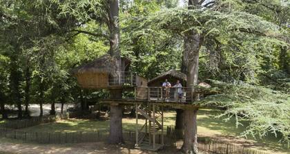 Squirrel Cabin 4 People