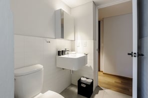 Shower, hair dryer, towels, shampoo