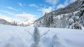 Pemandangan dari properti