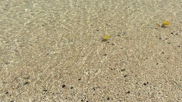 Una playa con aguas poco profundas y cristalinas y una orilla arenosa.