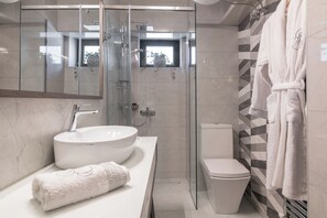 Hair dryer, towels, soap, toilet paper