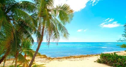 Renovated 2 Bdr Beachfront Condo w/ Pool + Tennis