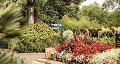 Comfort 2-room Apartment -