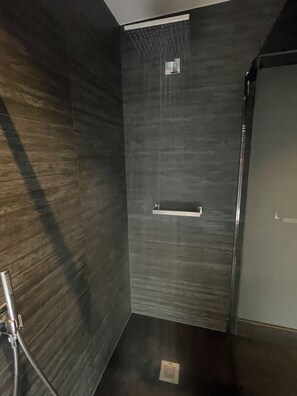 Jetted tub, eco-friendly toiletries, hair dryer, towels