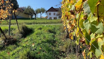 Boendeområde