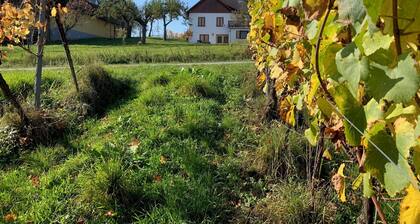 Vacations in the vineyard - an idyllic retreat in the heart of the Uhudler region