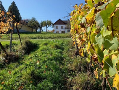 Vacations in the vineyard - an idyllic retreat in the heart of the Uhudler region