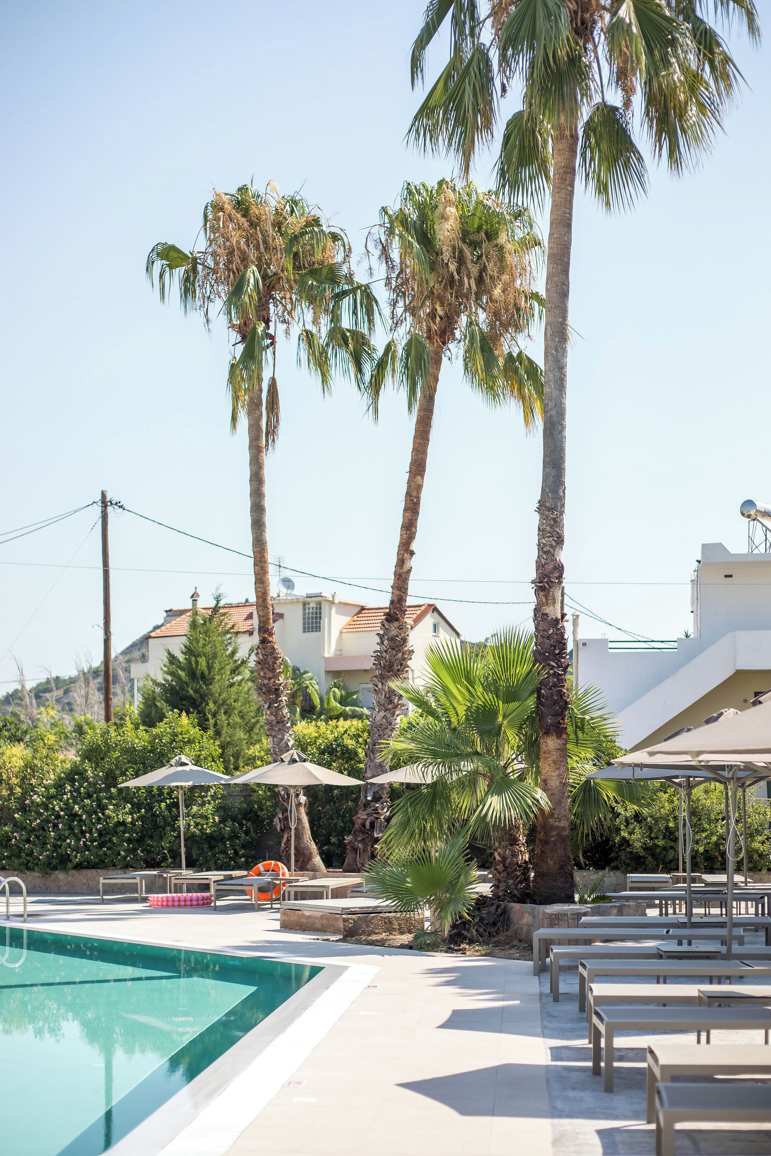 Un área de piscina con palmeras, asientos al aire libre y un edificio al fondo.