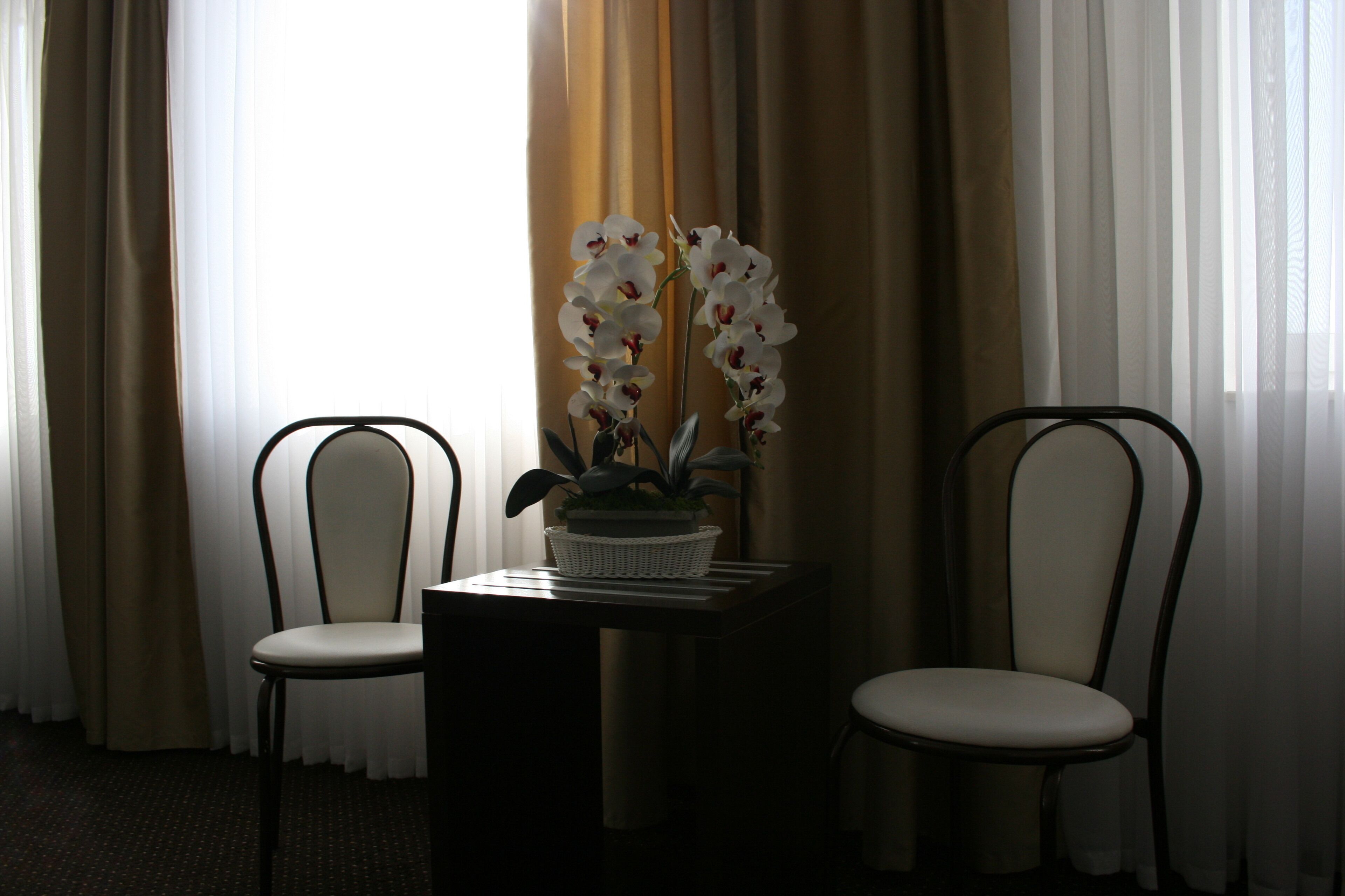 Photo - Hotel Junior 2