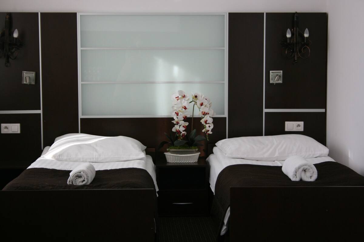 A hotel room with two single beds, a large window with frosted glass, a small table with a vase of flowers, and a wall-mounted light fixture.