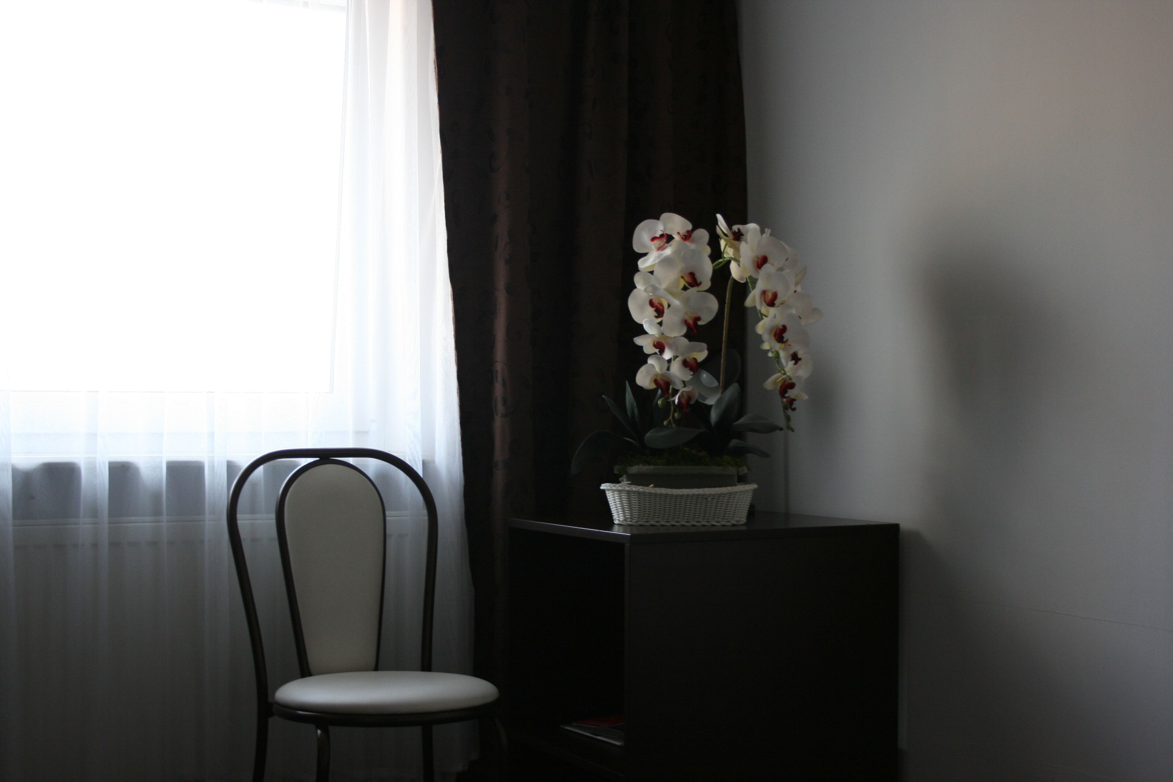Photo - Hotel Junior 2