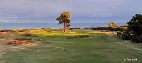 Golf. Seabank House Hotel