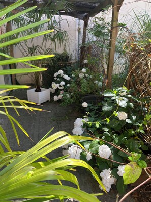 Un jardín con flores blancas y follaje verde.
