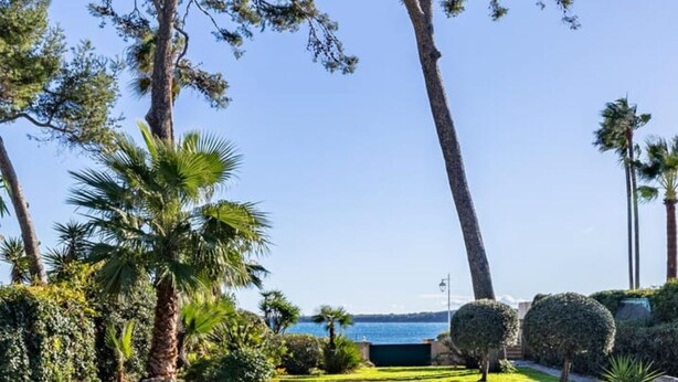 A clear swimming pool surrounded by lush greenery and tall trees, with a view of the sea in the background. - VILLA PALM BEACH sea front  (cannes)