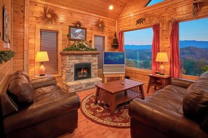 Televisión, chimenea, reproductor de DVD y oficina 