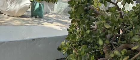 Un patio con plantas en macetas, una mesa blanca y suelo de piedra.