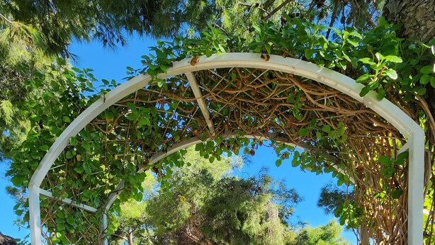 A stone pathway leading to a small structure with a blue door, surrounded by greenery and trees, overlooking a body of water. - GARDEN APARTMENT (ELECTRIC CAR CHARGING STATION) (North Kynouria)
