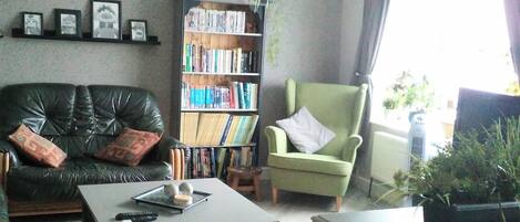 Télévision, lecteur de DVD, livres