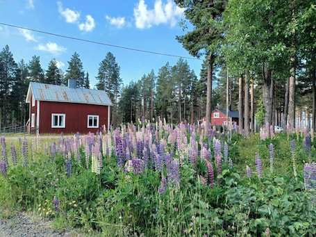 Jardín. Lapland Pure Nature and More!