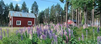 Lapland Pure Nature and More!