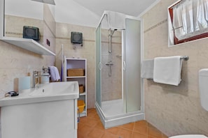 Shower, hair dryer, towels