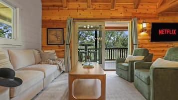 TV, fireplace, books, offices