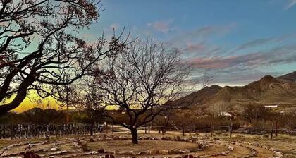 Historic Adobe Pioneer House