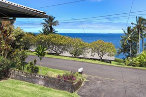 A residential area with a street, a mailbox, and a view of the ocean.