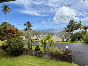 Property grounds - LOOK!  Kai Cottage coastal getaway in Pauka'a! (Hilo)
