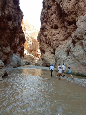 Hiking