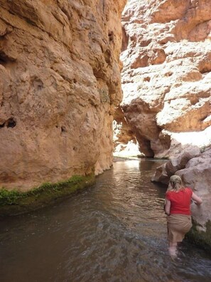 Hiking