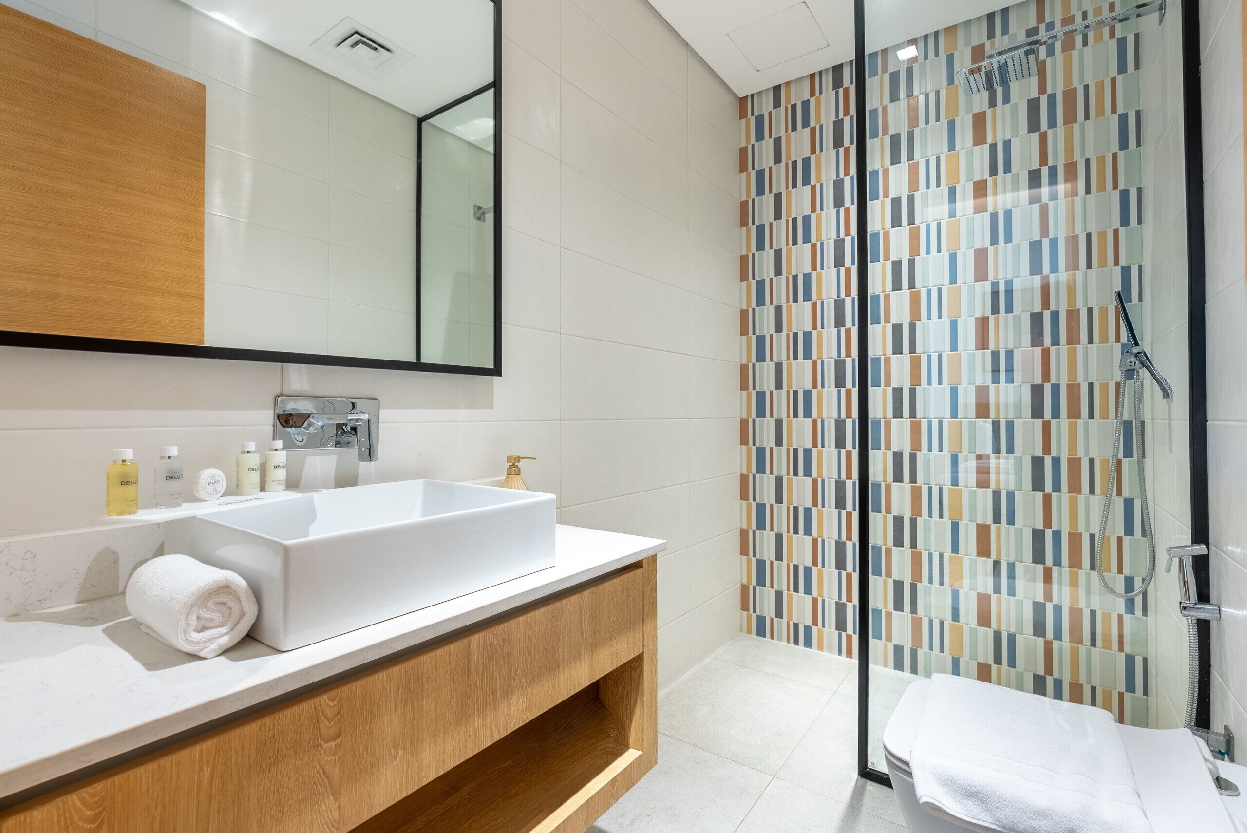 Shower, hair dryer, bidet, towels