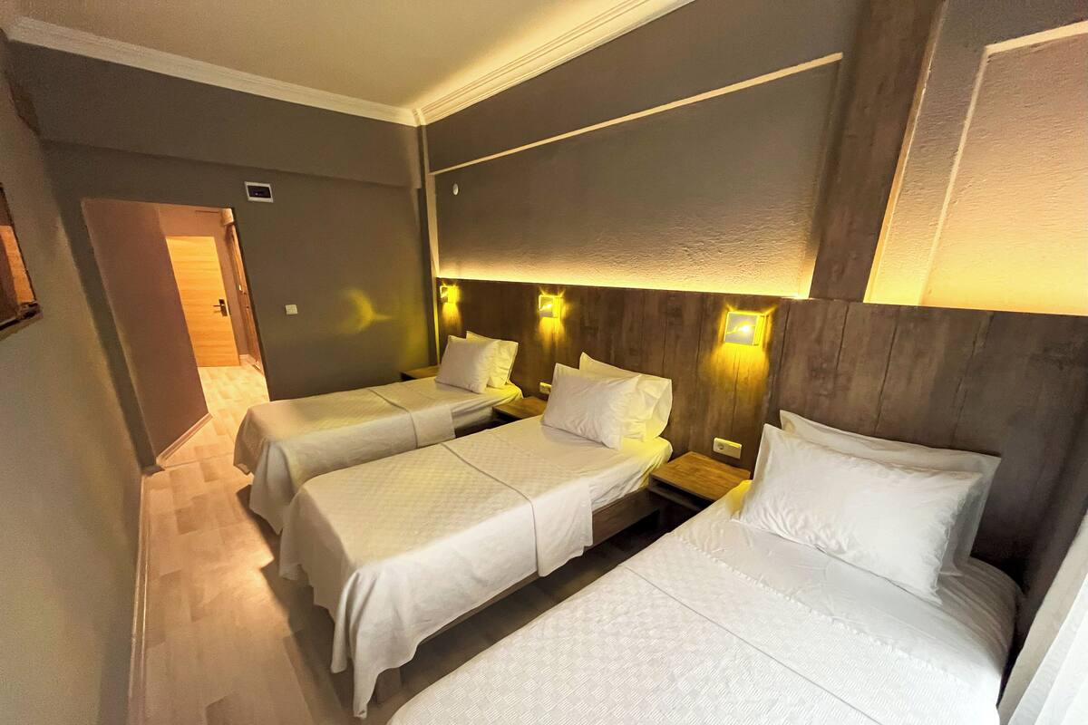 Habitación de hotel con dos camas individuales, cabecero de madera y lámparas de noche.