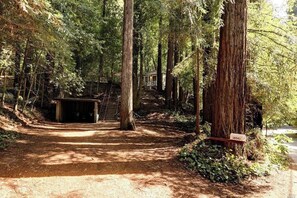Enceinte de l’hébergement