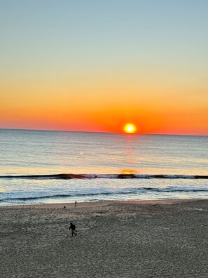 On the beach - Sit back and relax at Soul Retreat! PKA Absolute Paradise (Virginia Beach)