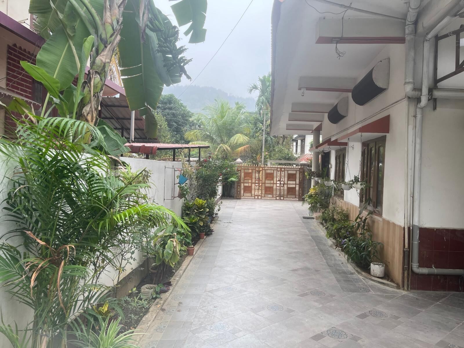 A narrow, paved pathway flanked by lush greenery and a gated entrance leading to a building with a tiled roof.